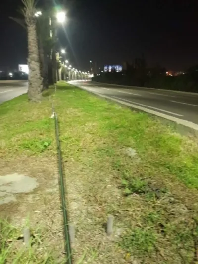 Aménagement TPC et espaces verts – Autoroute Bouchaoui vers Chéraga | SARL STRAPHYB